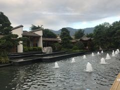 -梅园国际大酒店·自助餐厅(光明港店)