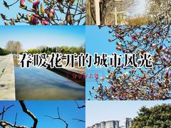 -洛阳市隋唐城遗址植物园