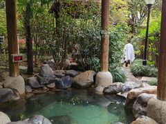 -张家港金凤凰度假村温泉