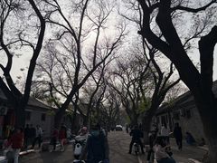 -北京国子监胡同