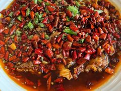 -胖大姐黄辣丁鱼庄(新津店)