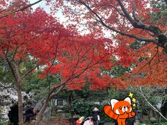 -桂林公园(地铁站)