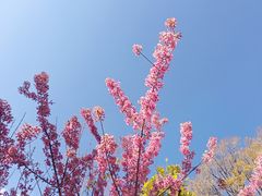 -BA(同德广场店)