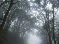 -梧桐山风景名胜区