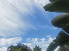 -蟹田居·活蟹料理(东城店)