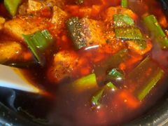 -陈麻婆豆腐总店