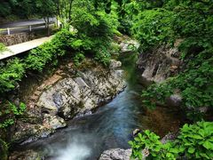 -关门山森林公园