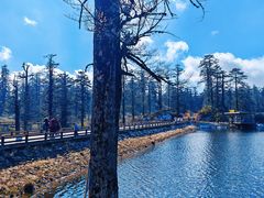 -瓦屋山景区