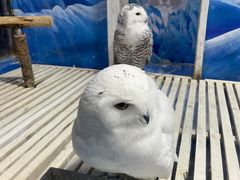 -成都浩海立方海洋公园