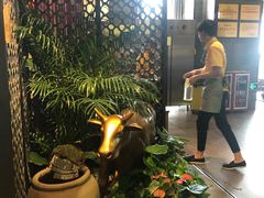 -炊烟小炒黄牛肉(中心印象城店)