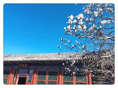 -颐和园