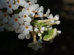 -苏州河梦清园环保主题公园