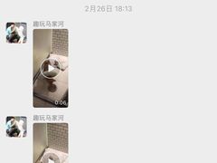 -趣玩宠物乐园寄养训犬训狗游泳池