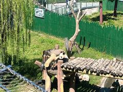 -沈阳森林动物园