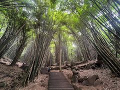-凤栖山
