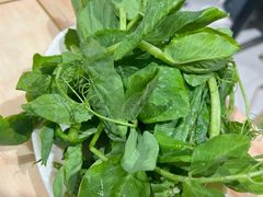 -海关荤豆花(洋河一路店)