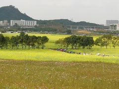 -光明小镇欢乐田园