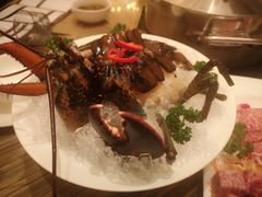 -四季火锅酒家(新濠影汇店)