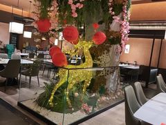 -阿露佳·舌尖上的安吉菜