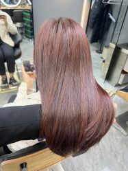 -藤野造型