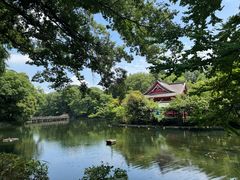 -井之头恩赐公园