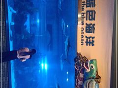 -成都浩海立方海洋公园