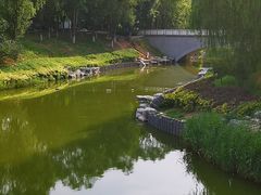 -大兴滨河森林公园