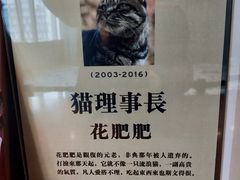-上海观复博物馆