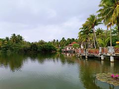 -三亚珠江南田温泉度假区