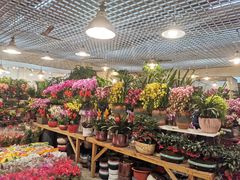 -双季花艺园艺市场(浦东店)