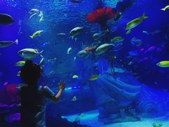 -沈阳海洋探索中心