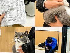 -瑞派康怡24h宠物医院·犬猫医疗中心·微创绝育(瑞景分院)