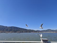-海埂大坝