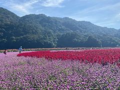 -广州市石门国家森林公园