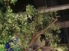 -绿茶餐厅(昆明世纪金源店)