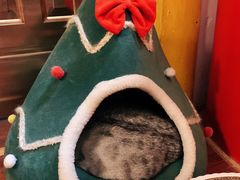 -H立方实景剧情密室(天河旗舰店)