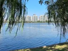 -莫愁湖公园