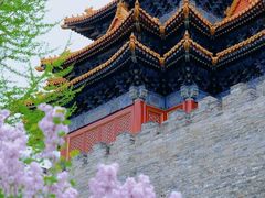 -故宫博物院(故宫)