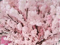 -黄浦路(地铁站)