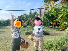 -前小桔亲子创意农场·草莓采摘·露营烧烤