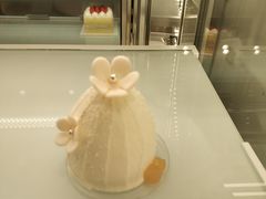 -蒲公英(五里店)