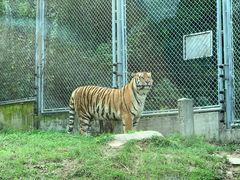 -西安秦岭野生动物园