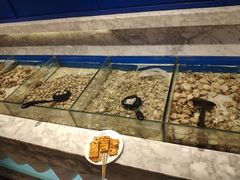 -火锅岛潮牌自助餐厅(天津天佑城店)