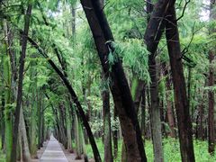 -同里国家湿地公园