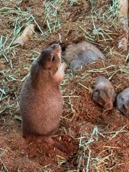 -Zoolung Zoolung动物主题公园(海信广场店)