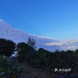 重庆荣昌盘龙镇盘周路路边上的一处果园