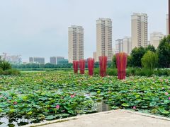 -天津东丽湖风景区