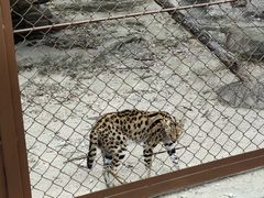 -大连森林动物园