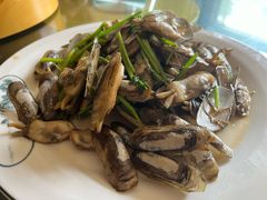 -老家黄墩小错鸡·活海鲜