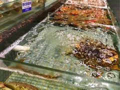 -新海利海鲜城·41年珠海老字号(夏湾店)
